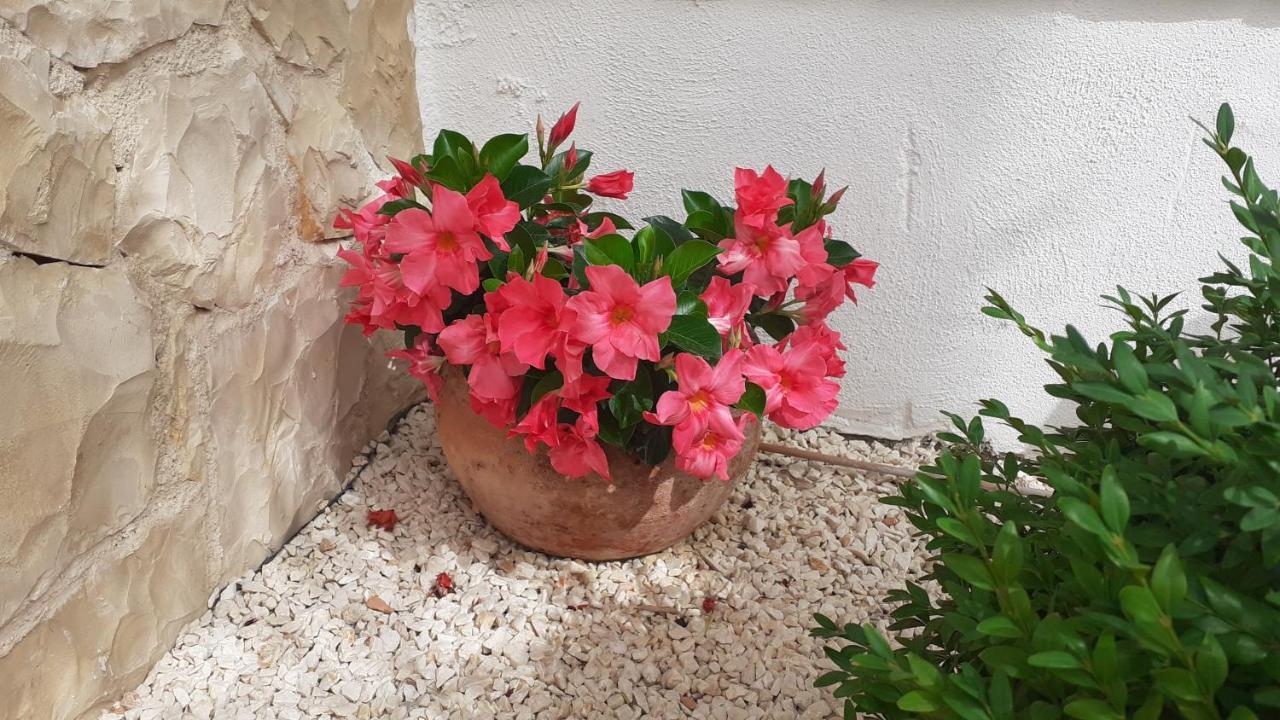 Apartman Nina Vodice Exterior foto